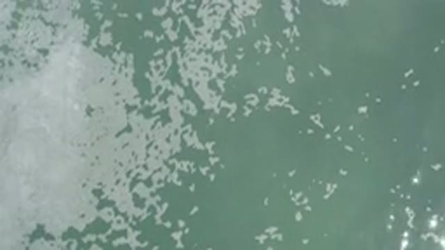 LOS CABOS MEXICO-2020: This Is The Most Polluted Body Of Water In North America