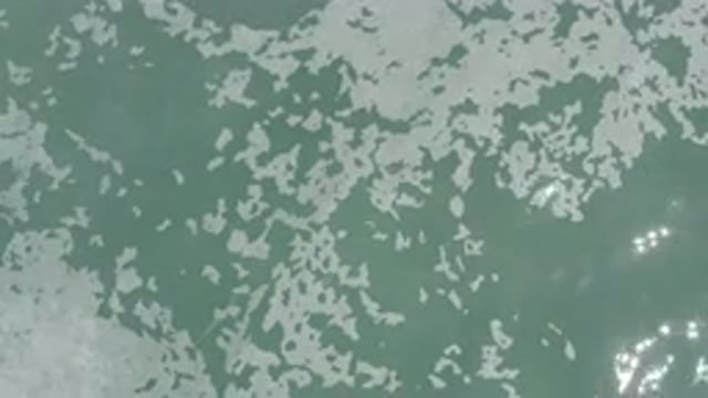 LOS CABOS MEXICO-2020: Purified Water Shown As It Really Is In The Middle Of