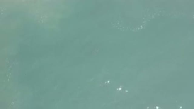 LOS CABOS MEXICO-2020: Sparkling Sunlight Illuminates Water