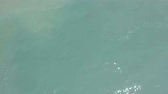 LOS CABOS MEXICO-2020: A Picture Of The Sun's Reflection On The Blue Water In