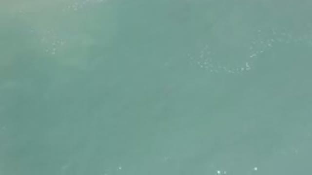 LOS CABOS MEXICO-2020: Clear Turquoise Ocean With A Little Bit Of Foam And The