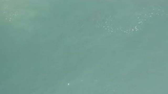 LOS CABOS MEXICO-2020: Light Reflecting Off Water On The Sea