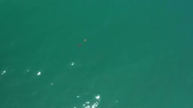 LOS CABOS MEXICO-2020: Green Sea During A Warm Early Morning
