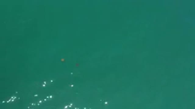 LOS CABOS MEXICO-2020: Top View Of A Green Water Sea