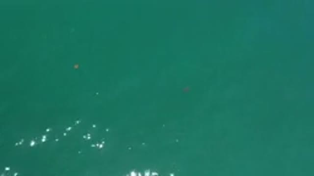 LOS CABOS MEXICO-2020: View Of Two Small Objects Floating In A Body Of Turquoise