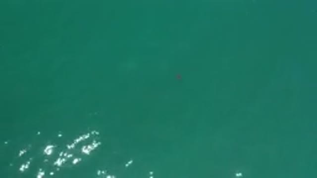 LOS CABOS MEXICO-2020: Green Ocean Waters Running In The Free Open Space And