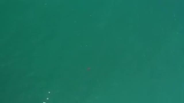 LOS CABOS MEXICO-2020: Camera Looking Down At A Large Body Of Water