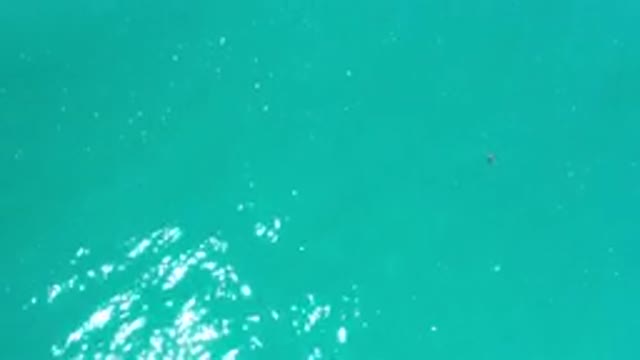 LOS CABOS MEXICO-2020: White Foam Floats On Top Of Aquamarine Water Flowing Back