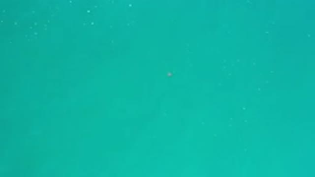 LOS CABOS MEXICO-2020: Sun Captured Teal Ocean Water Receding Forming Tiny Bubbles