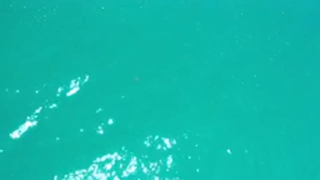 LOS CABOS MEXICO-2020: Calm Wave Delight Frozen Pool Ridge Dozing Feeling