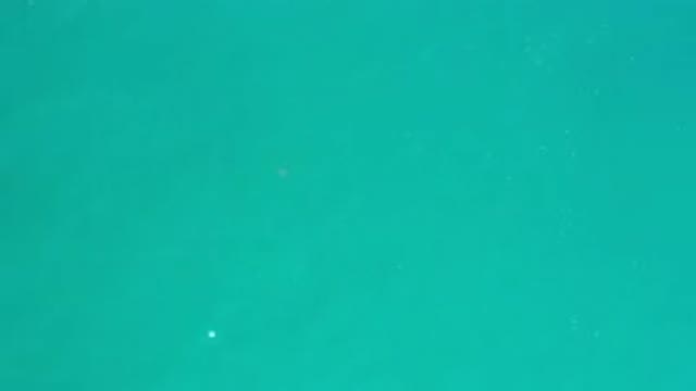 LOS CABOS MEXICO-2020: Blue Green Water With Reflection From Sky On Ocean