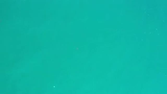 LOS CABOS MEXICO-2020: Top Down View Of A Calm Blue And Green Ocean