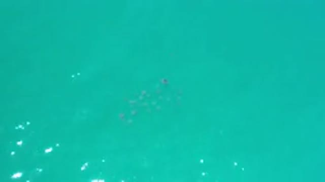 LOS CABOS MEXICO-2020: Glistening Ocean Water With A Shadow Of Sea Life Just