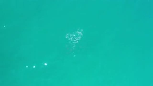 LOS CABOS MEXICO-2020: Aerial Footage Of Beautiful Blue Water