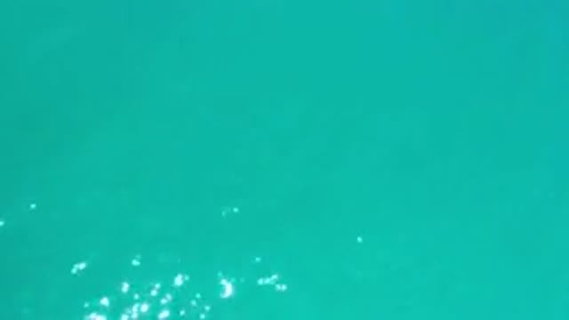 LOS CABOS MEXICO-2020: The Crystalline Waters