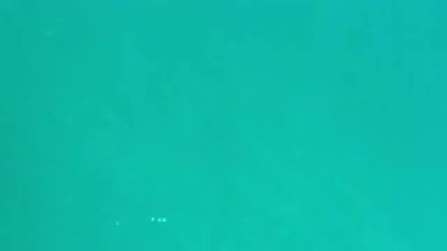 LOS CABOS MEXICO-2020: The Shimmering Teal Water Gently Flowing With The Currents