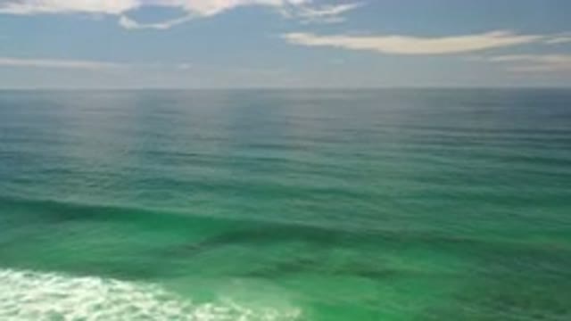 LOS CABOS MEXICO-2020: Waves Of Green Water Roll Over Shallow Water With Seaweed
