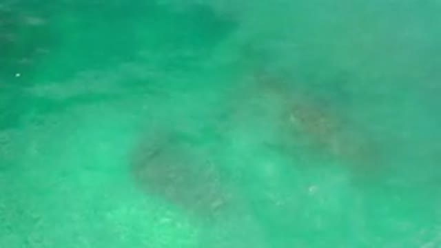 LOS CABOS MEXICO-2020: Maybe It's A Swimming Pool Or Crystal Clear Sea