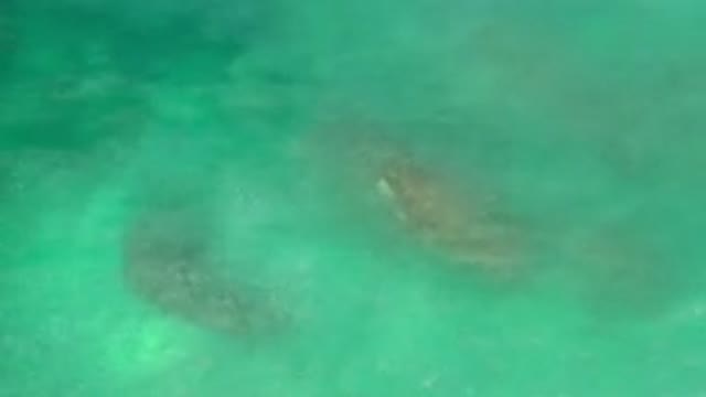 LOS CABOS MEXICO-2020: Beautiful Drone Shot Of The Clean And Clear Green Waters