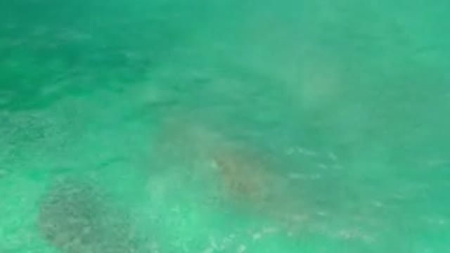 LOS CABOS MEXICO-2020: Reefs in the Greenish Sea