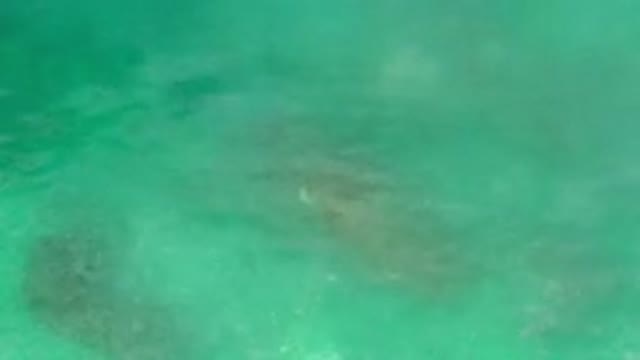 LOS CABOS MEXICO-2020: Sky View Of The Clean And Clear Ocean Waters Over The