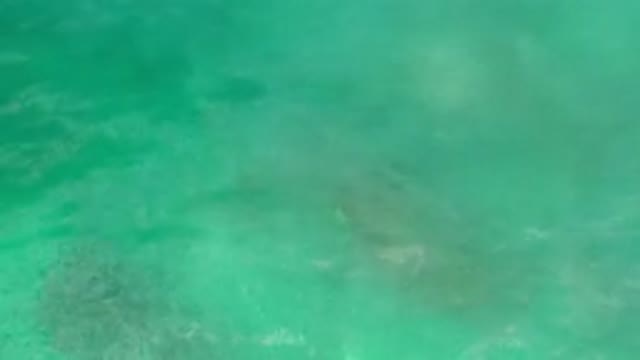 LOS CABOS MEXICO-2020: Clear Ocean Water Looks Like Green Beach Recorded By