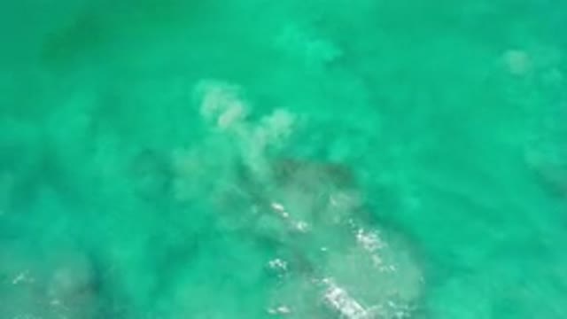 LOS CABOS MEXICO-2020: A Blue Ocean With Big Fish Not Clearly Visible