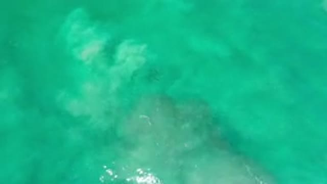 LOS CABOS MEXICO-2020: Crystal Clear Green Seas With Small Waves Against Rocks