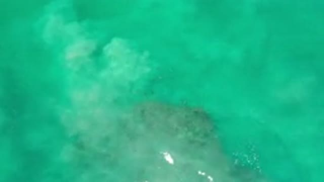 LOS CABOS MEXICO-2020: Close To A Green Emerald Sea Water With A Slight