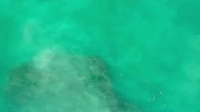 LOS CABOS MEXICO-2020: Gray Still Water Needs To Get Cleaned