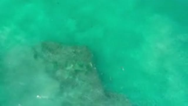 LOS CABOS MEXICO-2020: Perfect Sea With Clean Waters An Incredible Place To Get