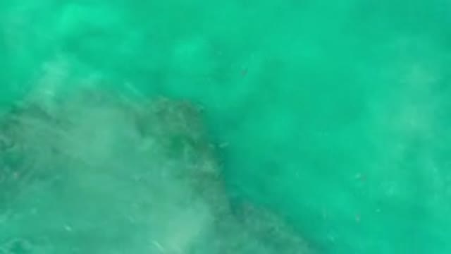 LOS CABOS MEXICO-2020: Ocean Water With Breeze