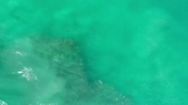 LOS CABOS MEXICO-2020: Green Ocean Water Moving Across An Underwater Rock