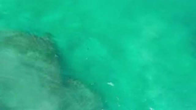 LOS CABOS MEXICO-2020: Soft Calm Clear Body Of Water Near A Rocky Shore With