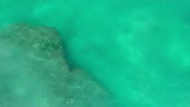 LOS CABOS MEXICO-2020: Shallow Rocks Under Green Blue Water In The Full Sun