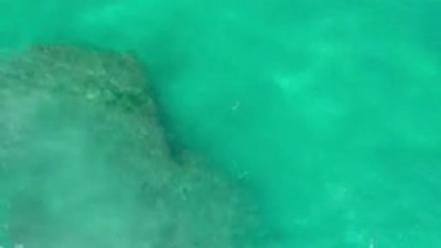 LOS CABOS MEXICO-2020: Totally Clean And Clear Ocean Water