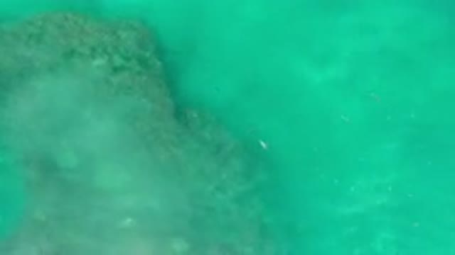 LOS CABOS MEXICO-2020: Clear Aqua Tinted Shimmering Rippling Ocean Waves Swaying