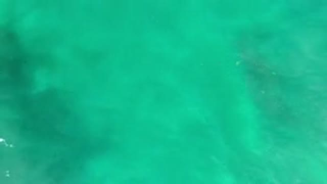 LOS CABOS MEXICO-2020: A Water Body Showing Two Whales Lurking Underground