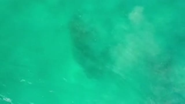 LOS CABOS MEXICO-2020: Greenish Water Sea Base With Sunshine