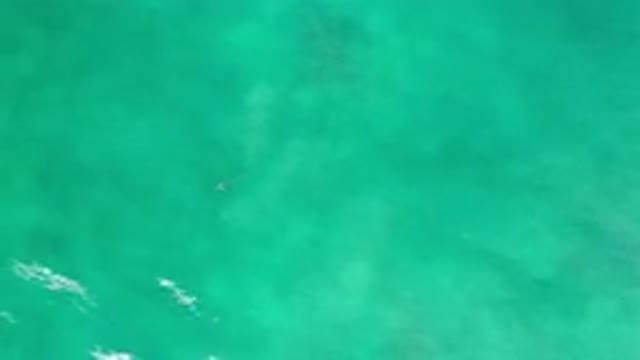 LOS CABOS MEXICO-2020: Water Ripples With Beautiful Fish