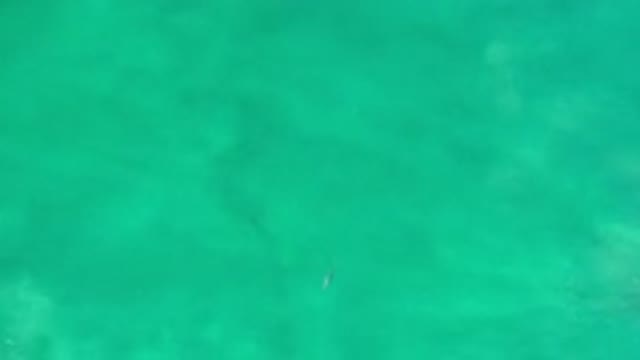 LOS CABOS MEXICO-2020: Flowing Blue Green Ocean Across a Sandy Bottom