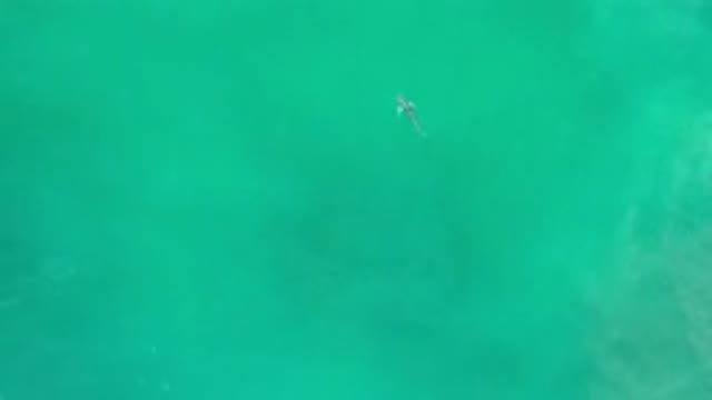 LOS CABOS MEXICO-2020: A Close-Up Of A Translucent Clear Green Sea Waters With A