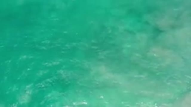 LOS CABOS MEXICO-2020: Green Colored Water With Bubbles And Small Tides
