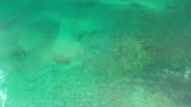 LOS CABOS MEXICO-2020: Underwater Coral in Green Ocean as Seen From Above