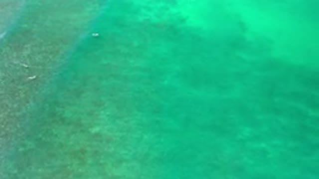 LOS CABOS MEXICO-2020: Green Deep Sea Not Recommended For Swimming