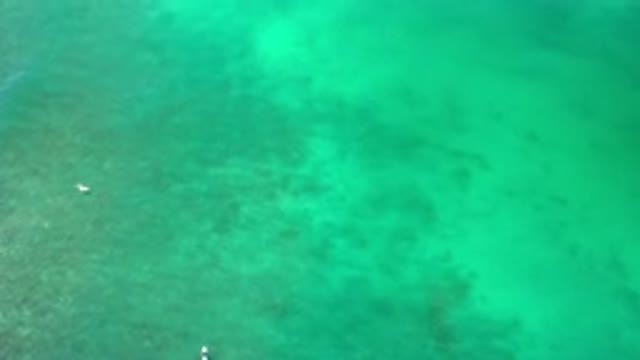 LOS CABOS MEXICO-2020: A Paradisiacal Place To Be Well