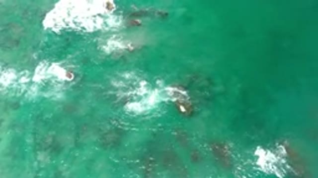 LOS CABOS MEXICO-2020: Peaceful Teal Water Roaming Freely With No One