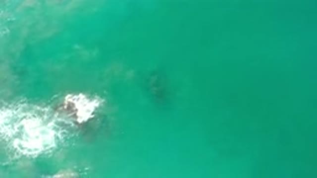 LOS CABOS MEXICO-2020: Green Colored Water Under Rocks