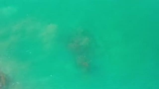 LOS CABOS MEXICO-2020: Clear Green Water Peaceful Beach Vacation Spot