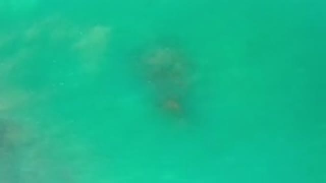 LOS CABOS MEXICO-2020: Waves Moving Around Submerged Rock in Clear Sea Green